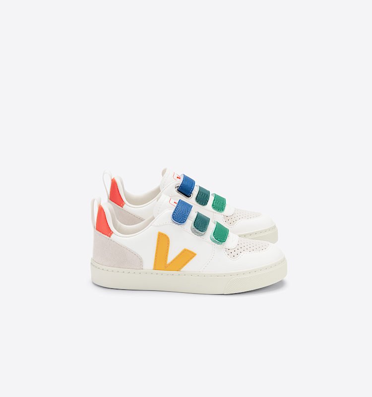 106_veja-baskets-small-v-10-cuir-multicolore-CV0502905_1.jpg